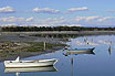 Barche Da Pesca Sulla Laguna Di Grado